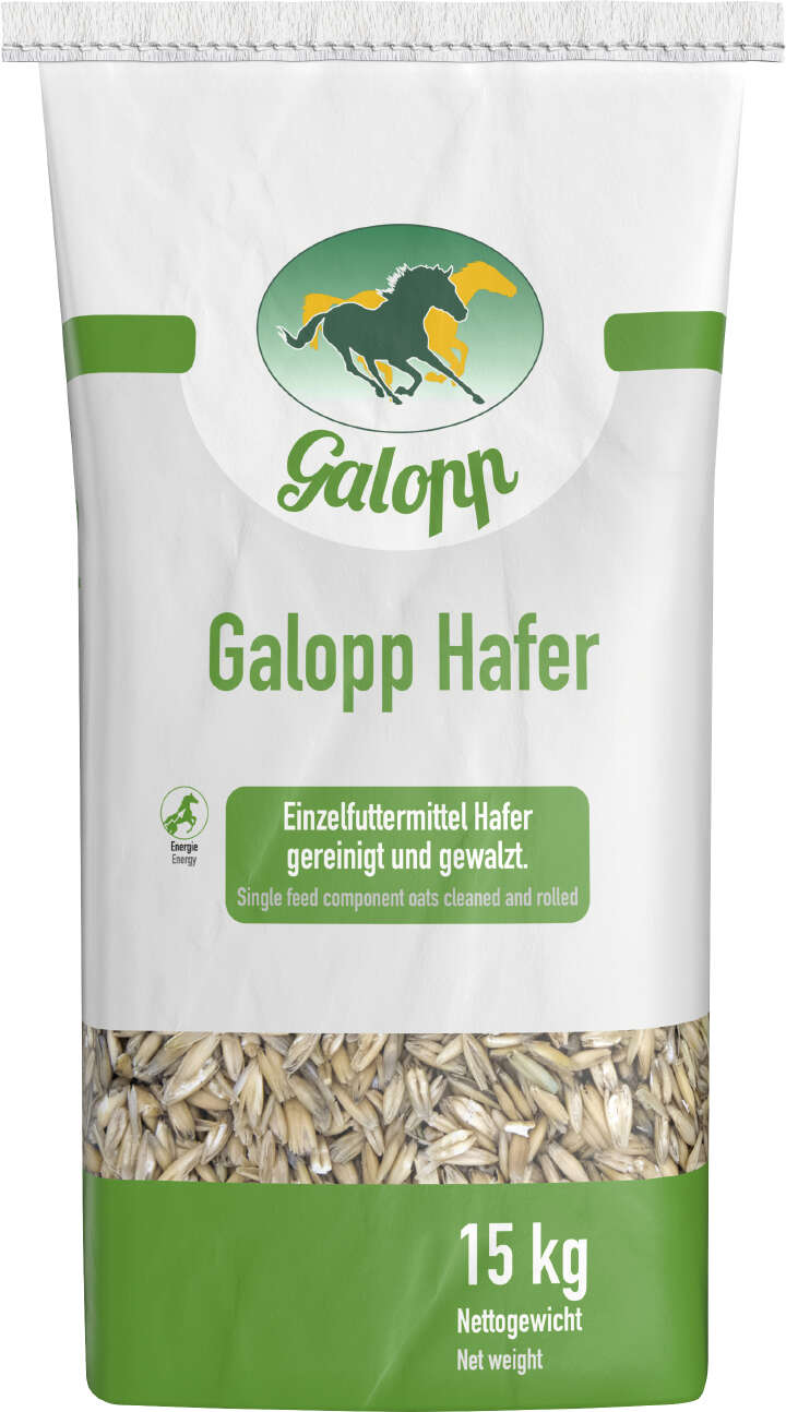 Galopp Hafer